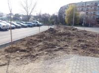 Imagine atasata: tim.sct.bega - 20.mar.16 - 024.jpg